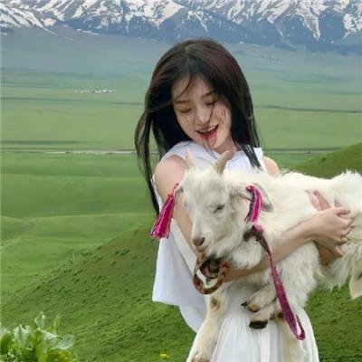 续·终物语